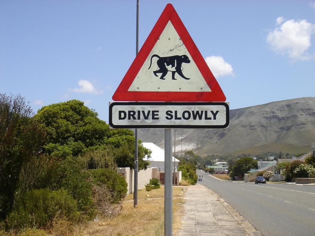 Milkwood Lodge Hermanus Zimmer foto
